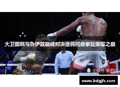 大卫图啊与鲁伊兹巅峰对决谁将问鼎拳坛荣耀之巅
